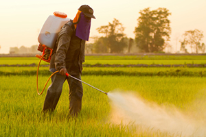 Pesticide Intermediate
